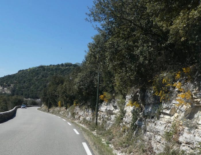 Kurven, Steine, Ginster