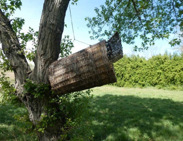 Vallabregues Garten 4