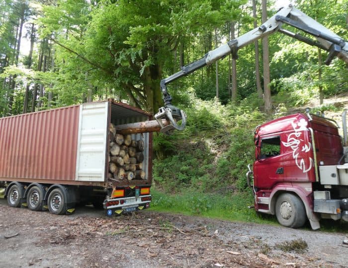Holztransorter4