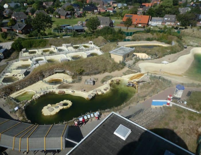 Seehundstation oben2