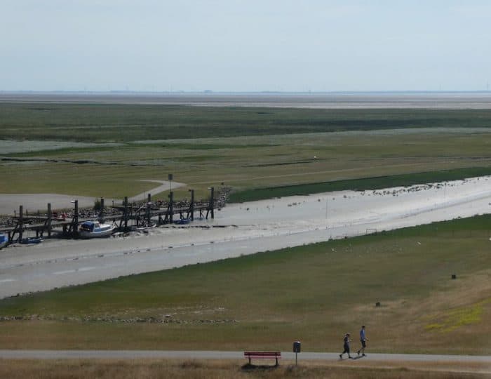 Seehundstation oben3