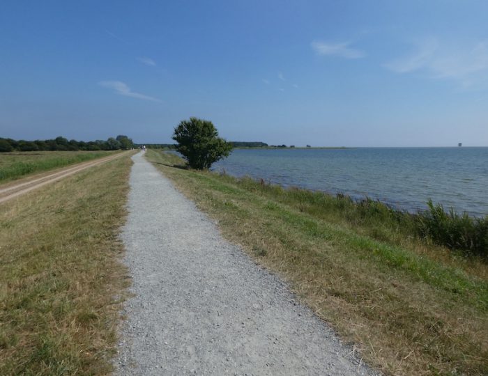 SpaziergangaufdemDeich1
