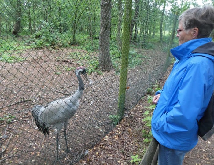 Tierpark11