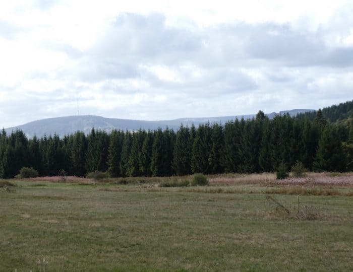 Rhön13