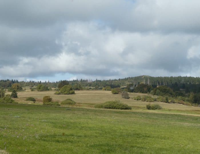 Rhön5