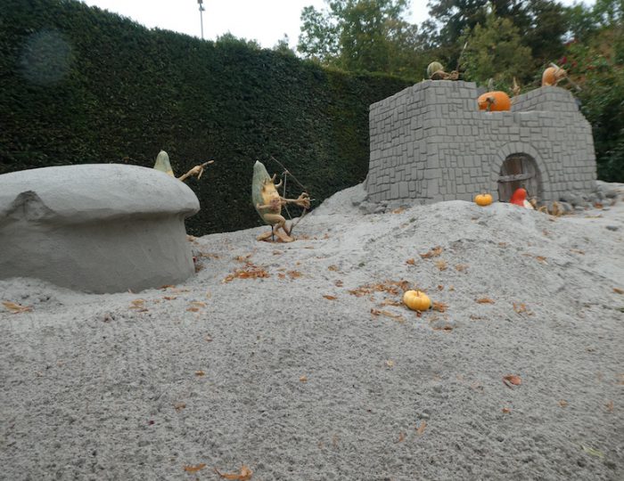 Kürbisausstellung10