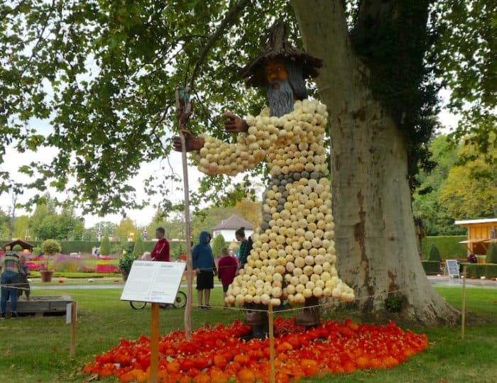 Kürbisausstellung14