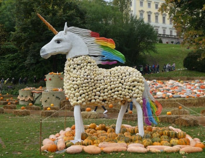 Kürbisausstellung16