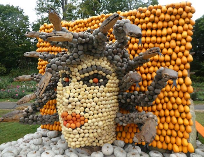 Kürbisausstellung17