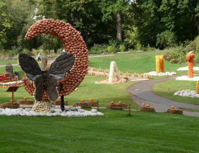 Kürbisausstellung20