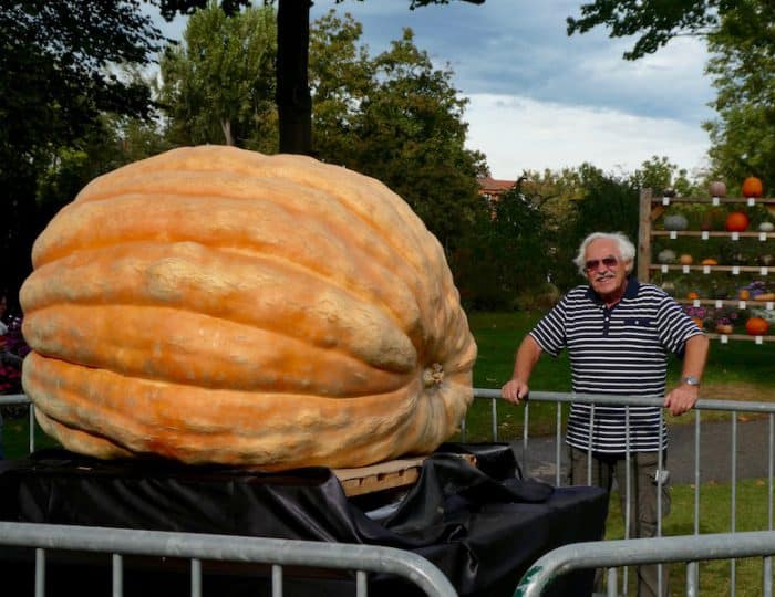 Kürbisausstellung23