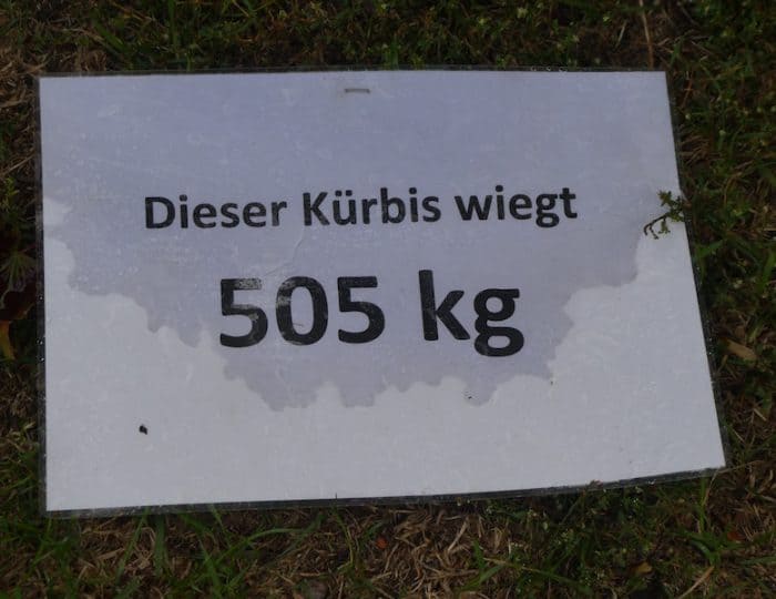 Kürbisausstellung24