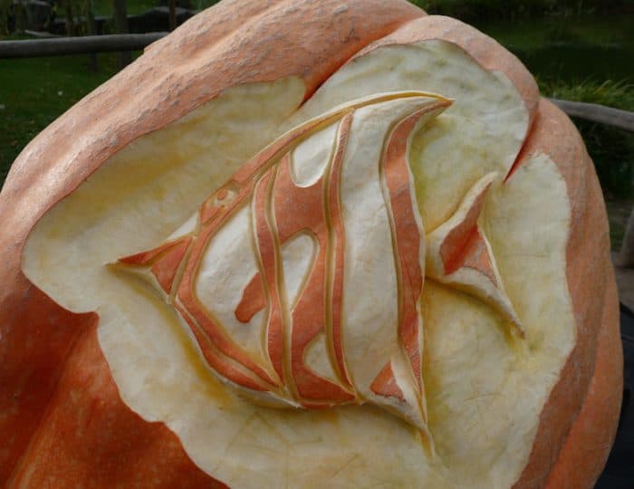 Kürbisausstellung27