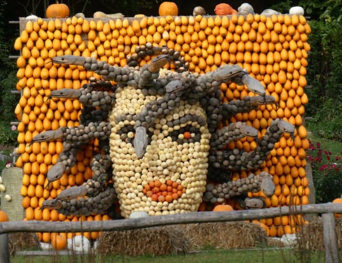 Kürbisausstellung28