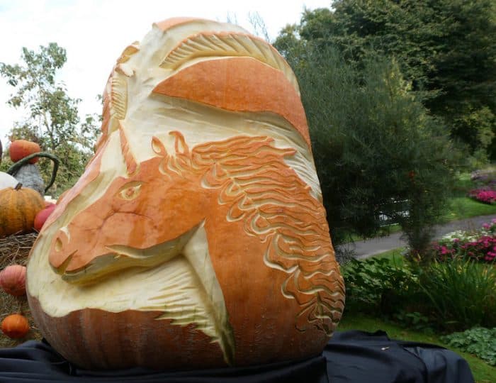 Kürbisausstellung31